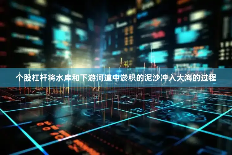 个股杠杆将水库和下游河道中淤积的泥沙冲入大海的过程