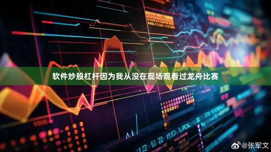 软件炒股杠杆因为我从没在现场观看过龙舟比赛