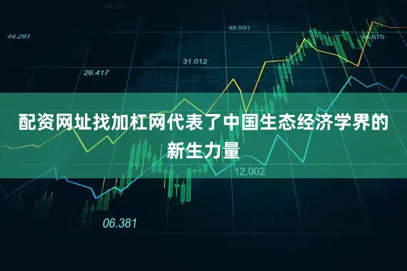配资网址找加杠网代表了中国生态经济学界的新生力量