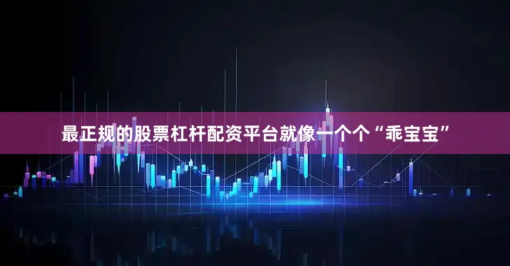 最正规的股票杠杆配资平台就像一个个“乖宝宝”