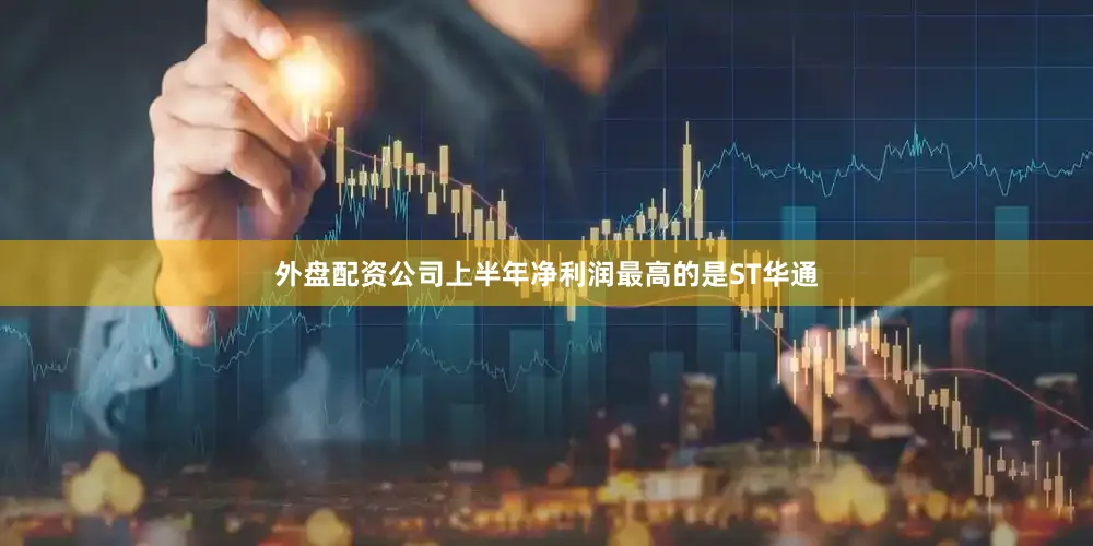 外盘配资公司上半年净利润最高的是ST华通